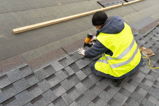 Best Metal Roofing Contractor  in Easton, MD