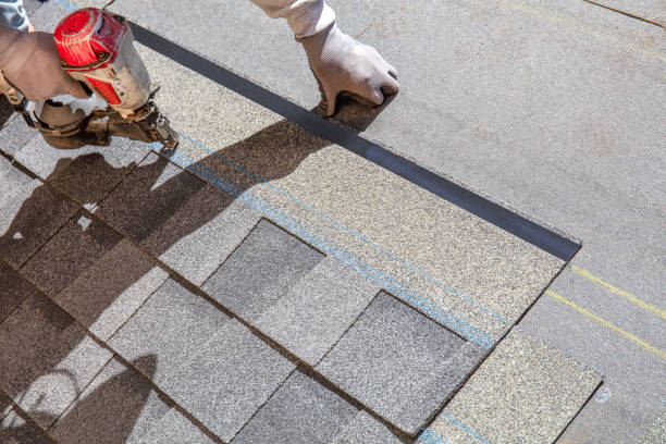 Best Local Roofing Companies  in Easton, MD